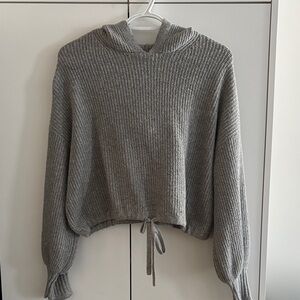 American Eagle Outfitters Gray Hooded Sweater